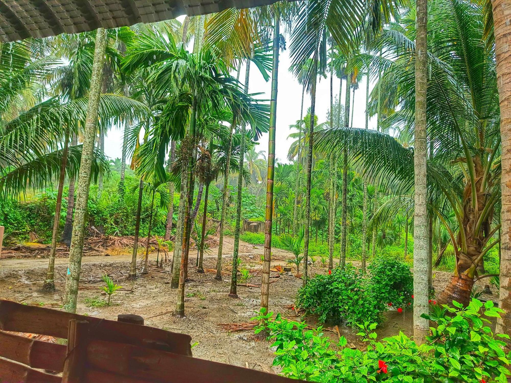 Shivalaya Farmstay Located Amdist Coconut Farm With River Access Near Isha,Adiyogi,Siruvani Alandurai Exterior photo