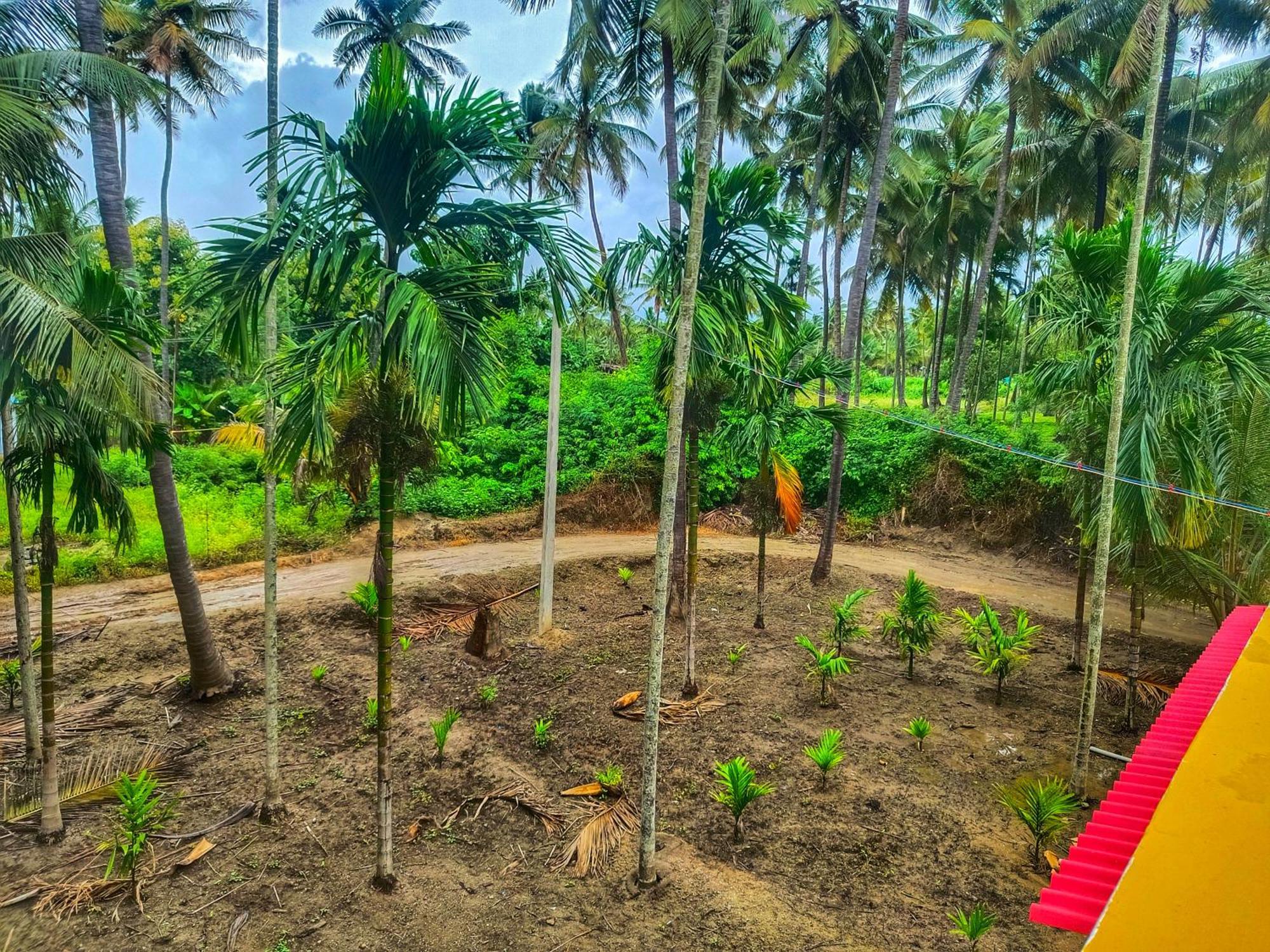 Shivalaya Farmstay Located Amdist Coconut Farm With River Access Near Isha,Adiyogi,Siruvani Alandurai Exterior photo